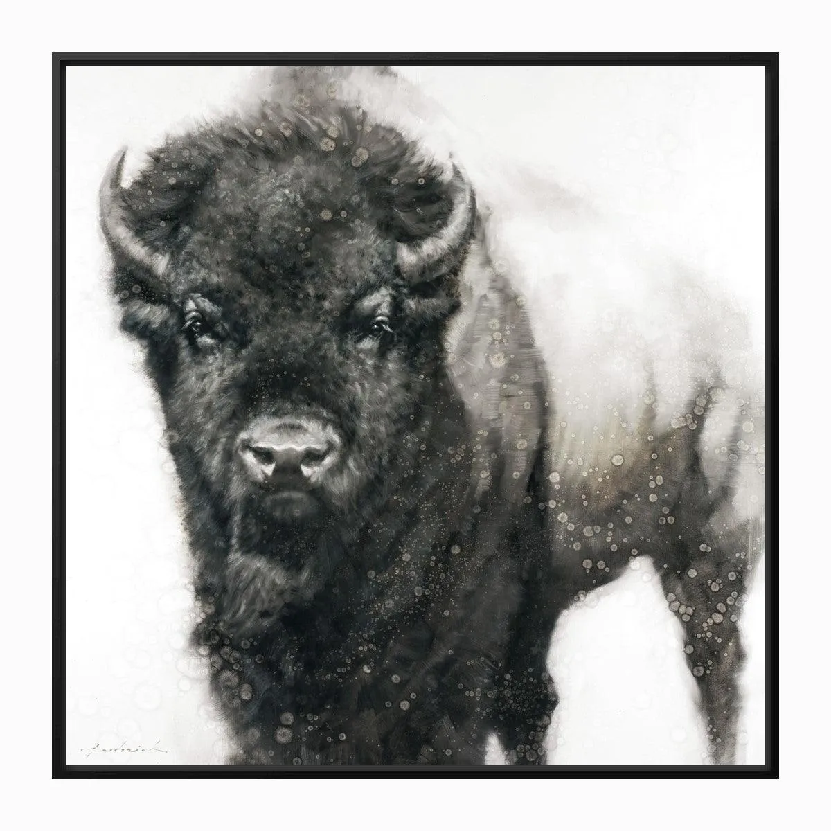 A Slight Pause Bison Framed Canvas Art