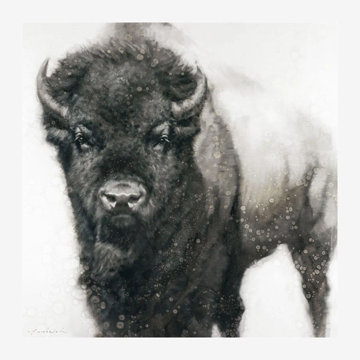 A Slight Pause Bison Stretched Canvas Art