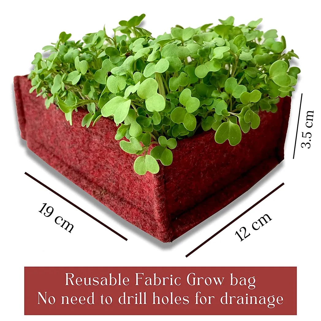 Bombay Greens DIY Microgreens Eco-Friendly Kit - Red Amaranth