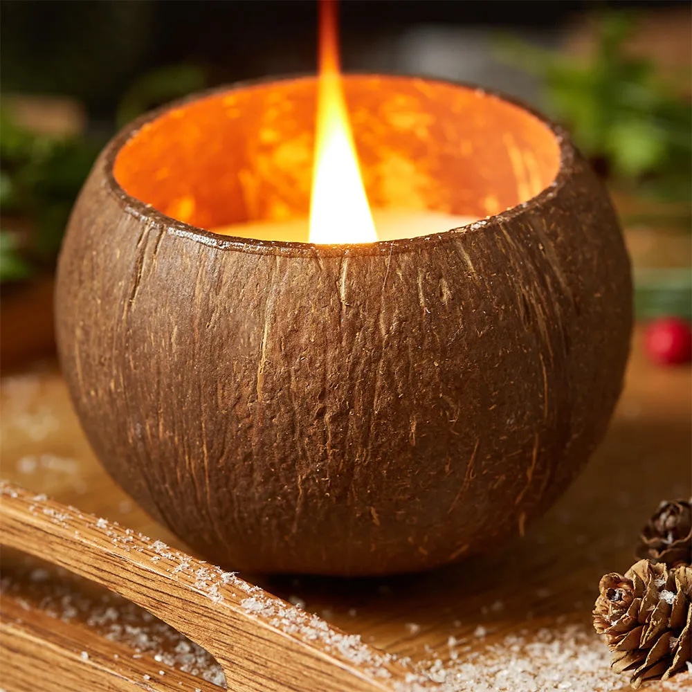 Coconut Shell Candle - Citrus Lime Scent