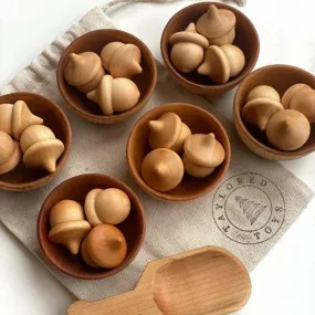 Montessori Waldorf Wood Acorn Sorting Game