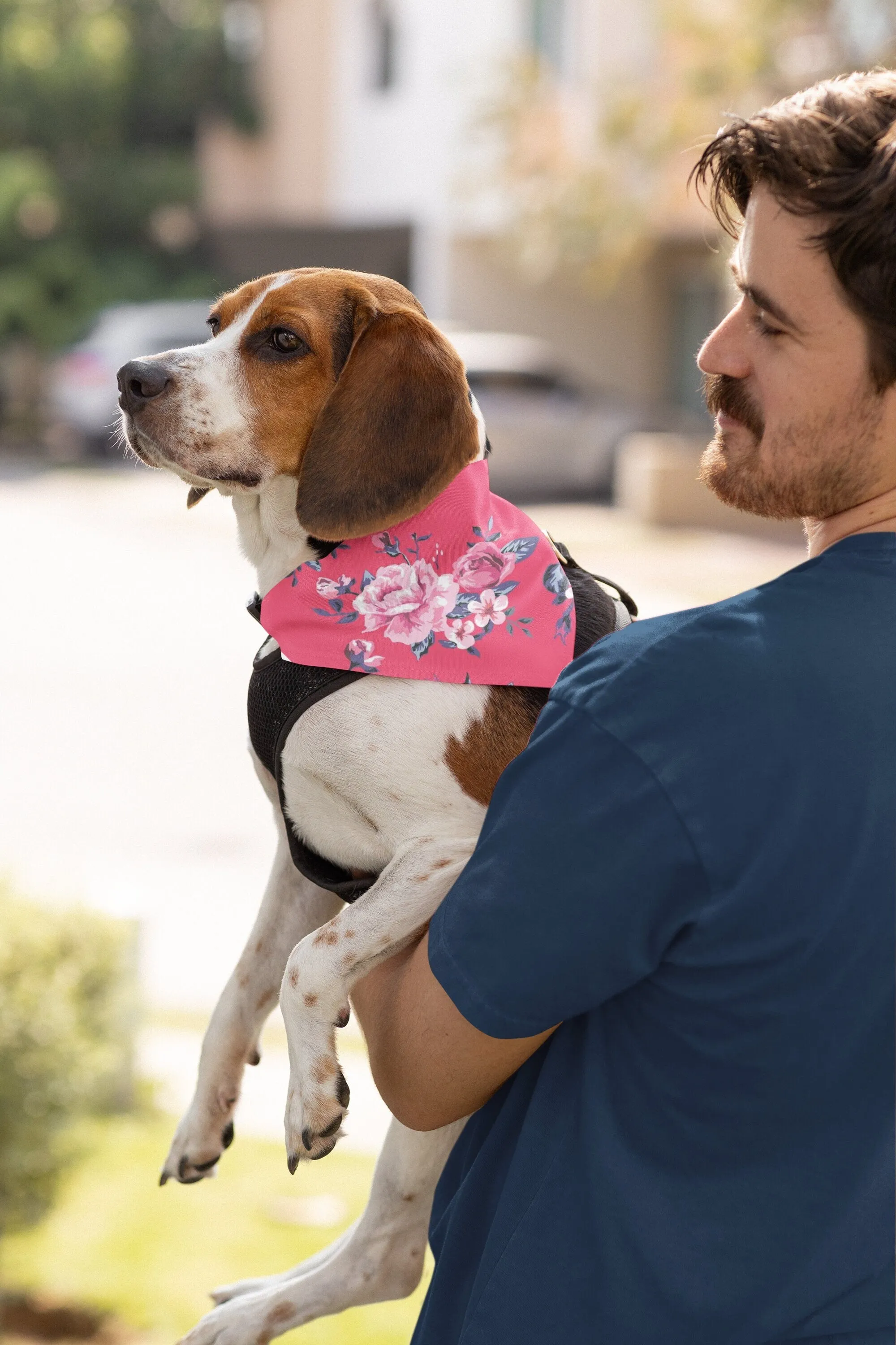 Rose Pregnancy Robe & Swaddle Set & Dad T-Shirt & Pet Bandana