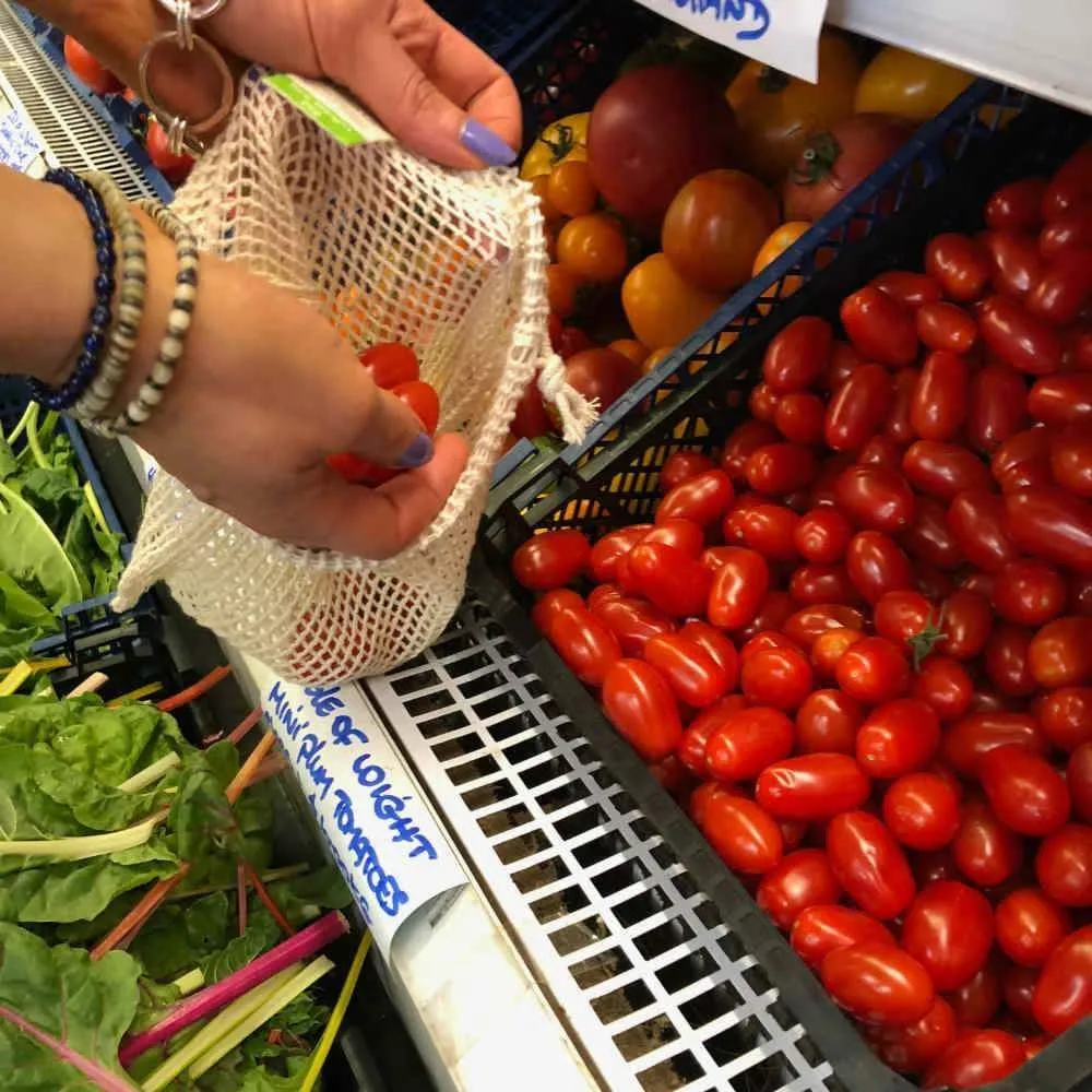 Small Recycled Cotton Mesh Produce Bag