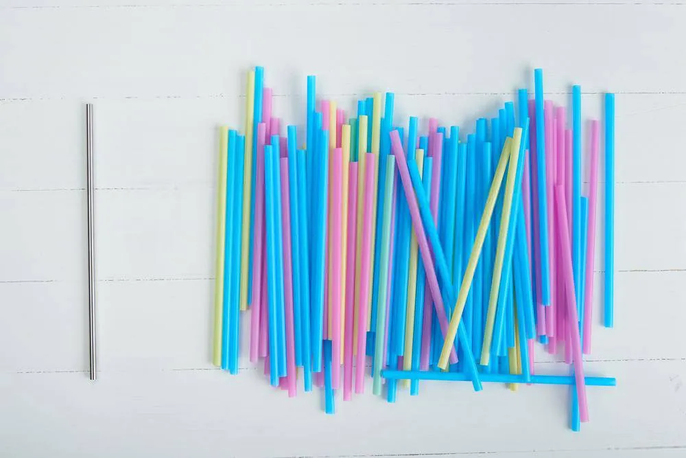 Steel Straws | Reusable Straws 2 Bent   2 Straight   1 Cleaner   1 Pouch | Eco friendly Straws