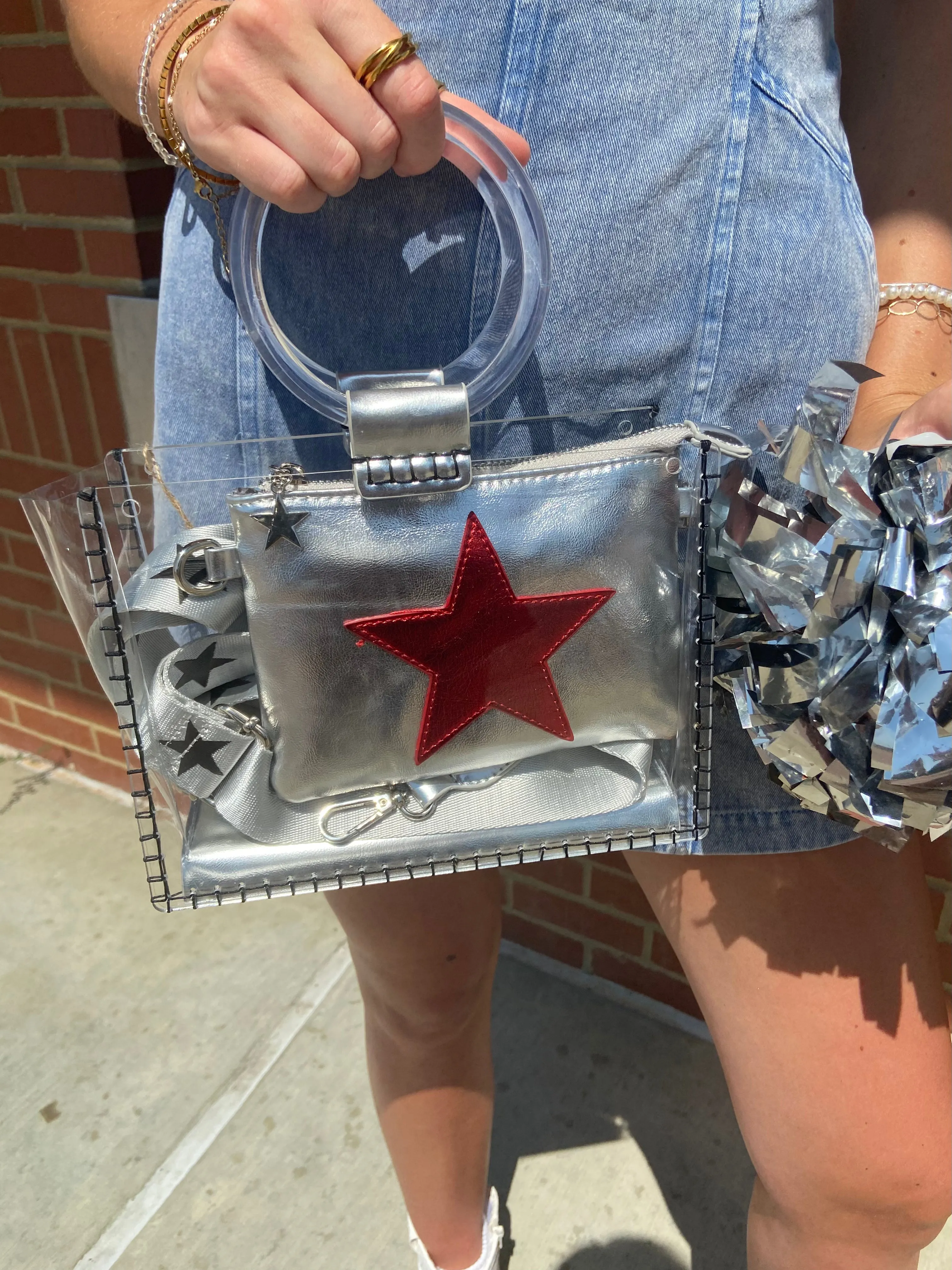 Vintage Havana Mini Molly Silver & Red Bag