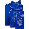 Zeta Phi Beta Sorority Paper Gift Bag Set with Decorative Tissue